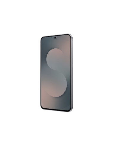 Samsung Galaxy S25 FE Enterprise Edition 17 cm (6.7") SIM doble Android 16.0 5G USB Tipo C 8 GB 128 GB 4900 mAh Negro