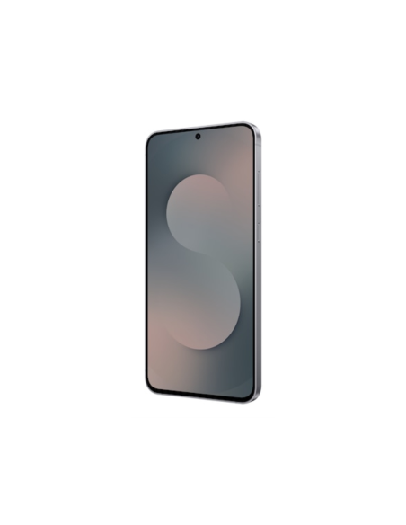 Samsung Galaxy S25 FE Enterprise Edition 17 cm (6.7") SIM doble Android 16.0 5G USB Tipo C 8 GB 128 GB 4900 mAh Negro