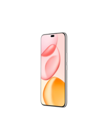 Honor 400 Pro 17 cm (6.7") MagicOS 9.0 5G 12 GB 512 GB 5300 mAh Gris