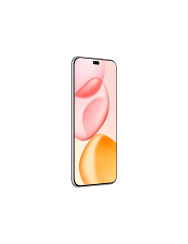 Honor 400 Pro 17 cm (6.7") MagicOS 9.0 5G 12 GB 512 GB 5300 mAh Gris