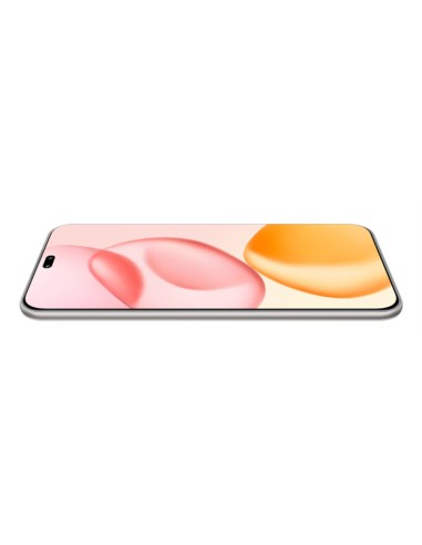 Honor 400 Pro 17 cm (6.7") MagicOS 9.0 5G 12 GB 512 GB 5300 mAh Gris