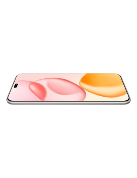 Honor 400 Pro 17 cm (6.7") MagicOS 9.0 5G 12 GB 512 GB 5300 mAh Gris