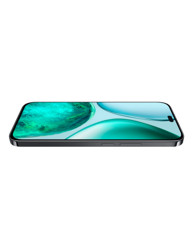 Honor X8? 17 cm (6.7") SIM doble MagicOS 9.0 4G USB Tipo C 8 GB 256 GB 5000 mAh Negro