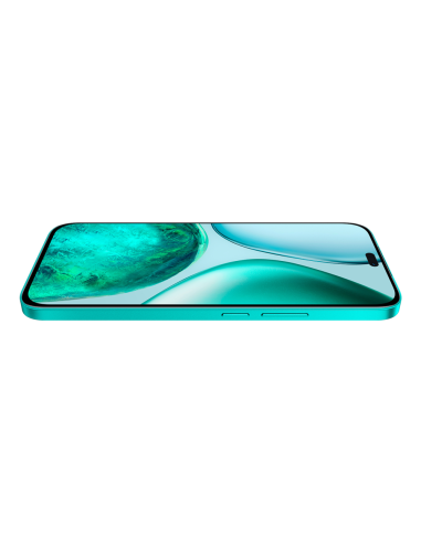 Honor X8c 17 cm (6.7") SIM doble MagicOS 9.0 4G USB Tipo C 8 GB 256 GB 5000 mAh Verde