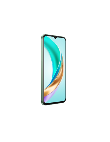 Honor X6b 16,7 cm (6.56") SIM doble Android 14 4G USB Tipo C 4 GB 128 GB 5200 mAh Verde