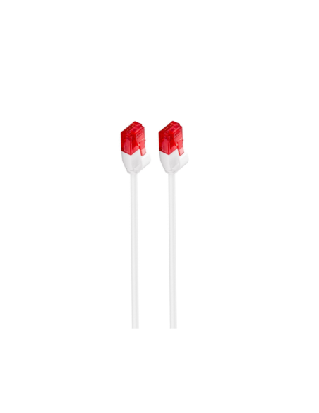 Ewent IM1039 cable de red Blanco 2 m Cat6 U/UTP (UTP)