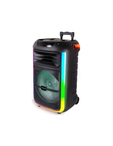 Trevi XF 1400 KB Altavoz para fiestas Negro 100 W