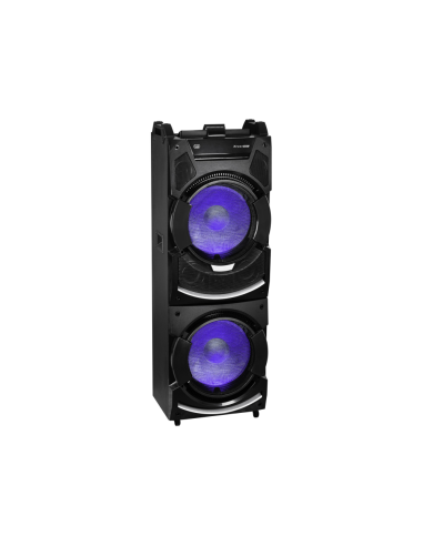 Trevi XF 4500 DJ Sistema de altavoz portátil 2.1 Negro 500 W