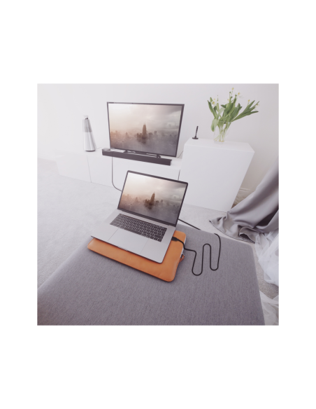 AISENS Cable HDMI V2.0 CCS Premium Alta Velocidad / Hec 4K@60Hz 18Gbps, A/M-A/M, Negro, 3.0m