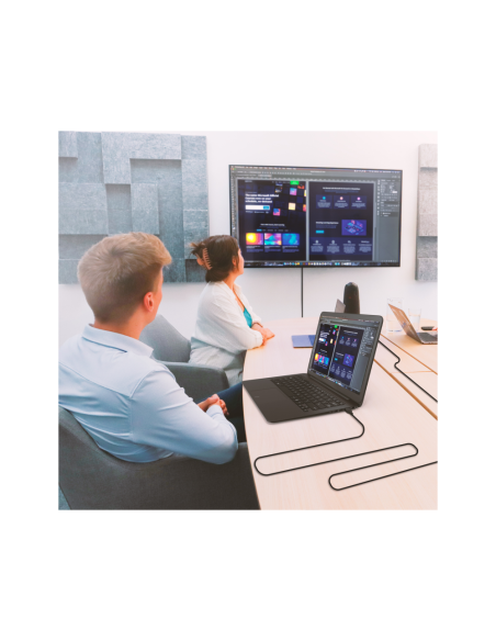 AISENS Cable HDMI V2.0 CCS Premium Alta Velocidad / Hec 4K@60Hz 18Gbps, A/M-A/M, Negro, 5.0m