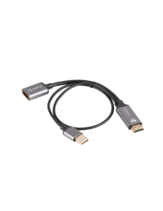 Lanberg AD-HD-DP-02 adaptador de cable de vídeo 0,2 m HDMI tipo A (Estándar) DisplayPort Plata