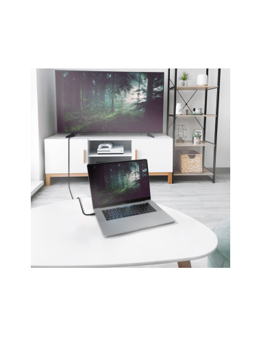 AISENS Cable Conversor Aluminio USB-C A HDMI 2.1 8k@60Hz, USB-C/M-HDMI/M, Negro, 2.0m