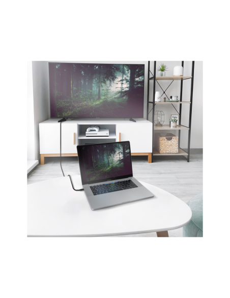 AISENS Cable Conversor Aluminio USB-C A HDMI 2.1 8k@60Hz, USB-C/M-HDMI/M, Negro, 2.0m