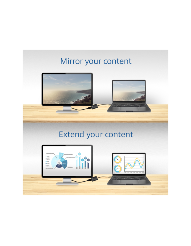 Ewent EW9825 adaptador de cable de vídeo 0,15 m USB Tipo C DisplayPort Negro