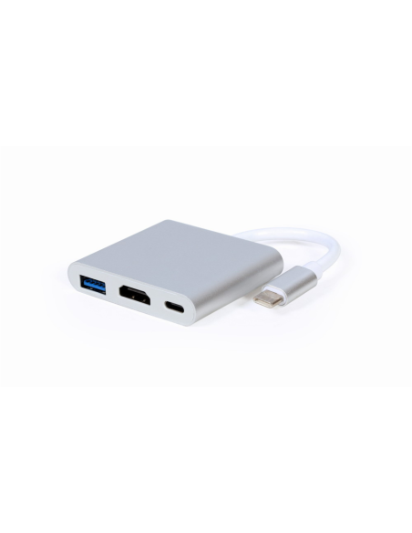 Gembird A-CM-HDMIF-02-SV Adaptador gráfico USB Plata