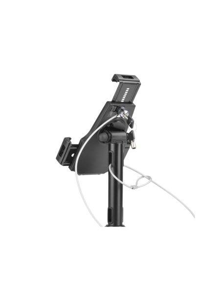 AISENS Soporte Antirobo de Sobremesa / Pared Ajustable (1 Pivote) para Tablet, Negro