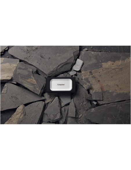 Kingston Technology 2000G SSD portátil XS2000