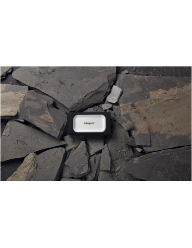 Kingston Technology 1000G SSD portátil XS2000