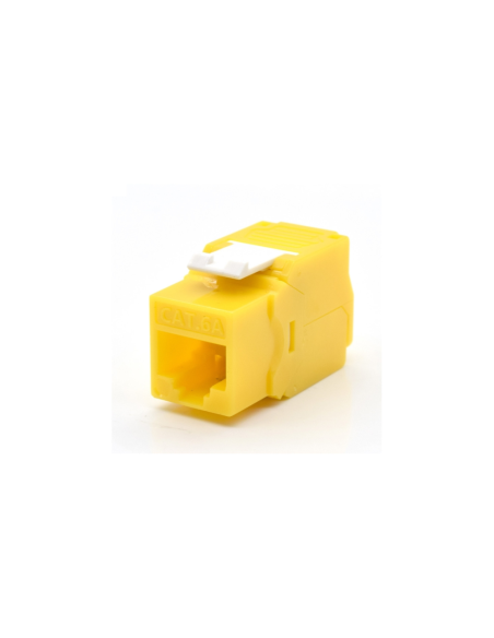 WP WPC-KEY-6AUP-TL/Y módulo de conector de red
