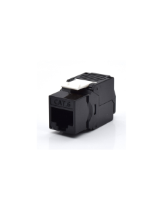 WP WPC-KEY-6UP-TL/BL módulo de conector de red