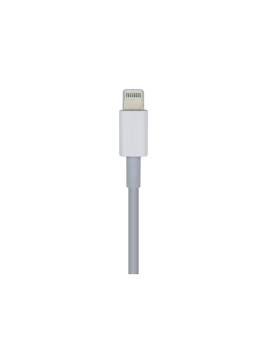 AISENS Cable USB 2.0 USB-? A Lightning PD 2A, Lightning/M-USB-?/M, Blanco, 1.0m