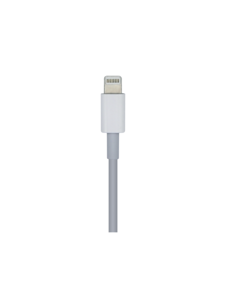 AISENS Cable USB 2.0 USB-? A Lightning PD 2A, Lightning/M-USB-?/M, Blanco, 1.0m