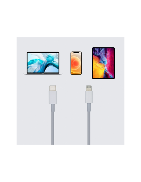 AISENS Cable USB 2.0 USB-? A Lightning PD 2A, Lightning/M-USB-?/M, Blanco, 1.0m