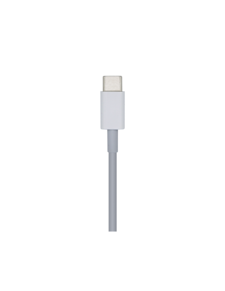 AISENS Cable USB 2.0 USB-? A Lightning PD 2A, Lightning/M-USB-?/M, Blanco, 2.0m