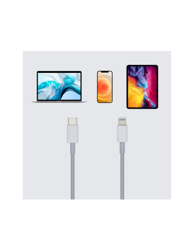 AISENS Cable USB 2.0 USB-? A Lightning PD 2A, Lightning/M-USB-?/M, Blanco, 2.0m