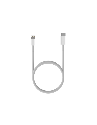 AISENS Cable USB 2.0 USB-C A Lightning PD 2A, Lightning/M-USB-C/M, Blanco, 0.5 m
