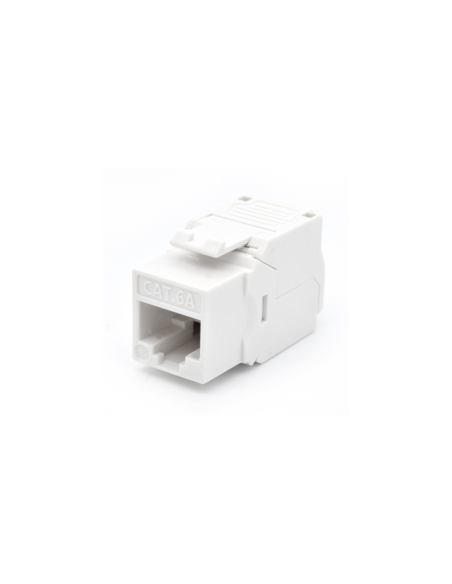 WP WPC-KEY-6AUP-TL/W módulo de conector de red