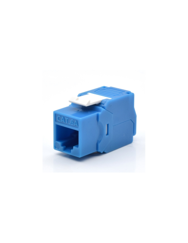 WP WPC-KEY-6AUP-TL/B módulo de conector de red