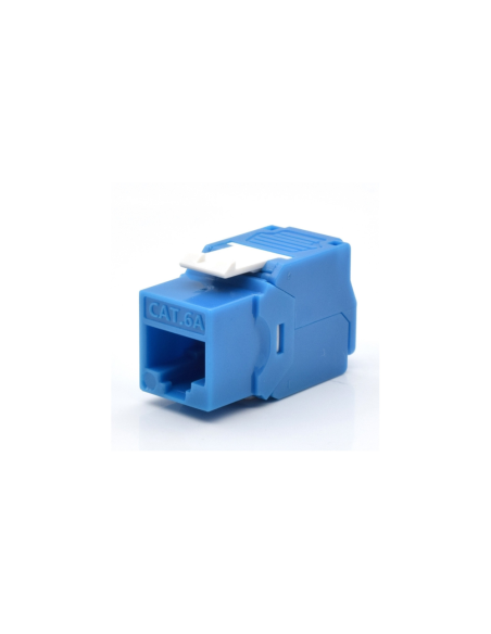 WP WPC-KEY-6AUP-TL/B módulo de conector de red