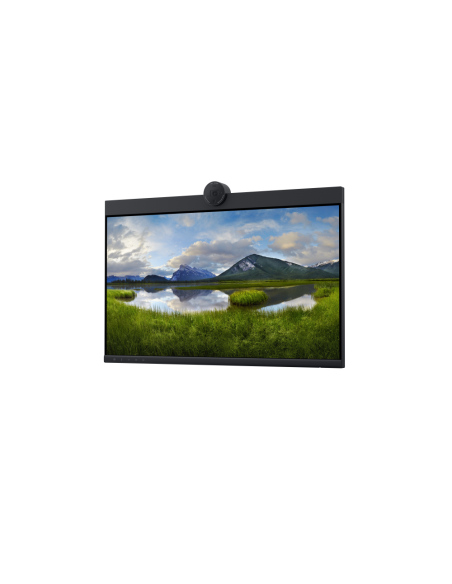 DELL P2424HEB 60,5 cm (23.8") LCD 1920 x 1080 Pixeles Full HD