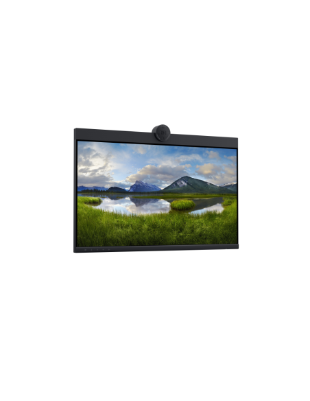 DELL P2424HEB 60,5 cm (23.8") LCD 1920 x 1080 Pixeles Full HD