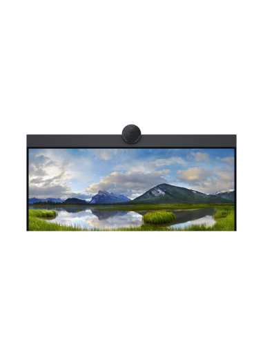 DELL P2424HEB 60,5 cm (23.8") LCD 1920 x 1080 Pixeles Full HD