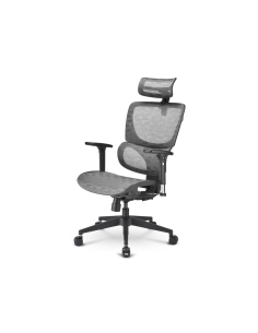 Sharkoon OfficePal C30M Asiento de malla Respaldo de malla