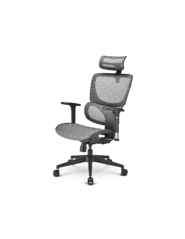 Sharkoon OfficePal C30M Asiento de malla Respaldo de malla