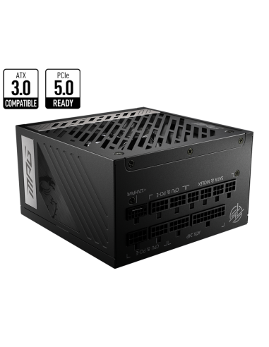 MSI MPG A850G PCIE5 unidad de fuente de alimentación 850 W 24-pin ATX ATX Negro