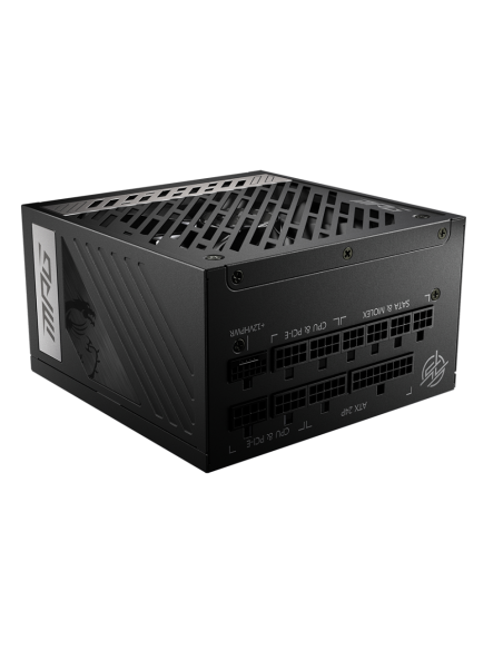 MSI MPG A1000G PCIE5 unidad de fuente de alimentación 1000 W 20+4 pin ATX ATX Negro