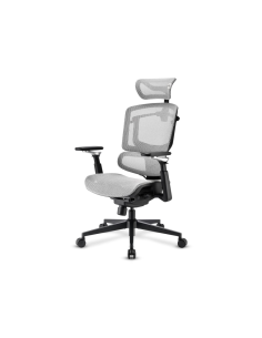 Sharkoon OfficePal C50M Asiento acolchado Respaldo de rejilla