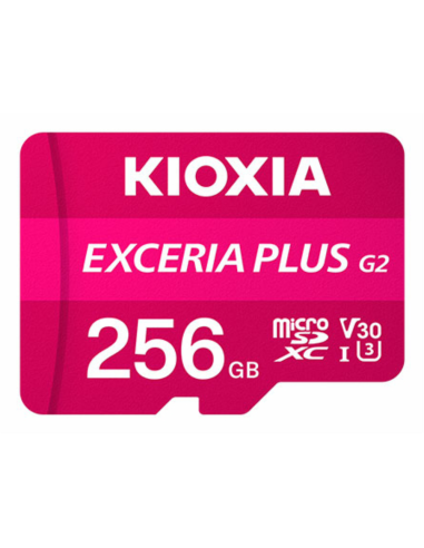 Kioxia LMPL2M256GG2 memoria flash 256 GB MicroSDXC UHS-I Clase 10