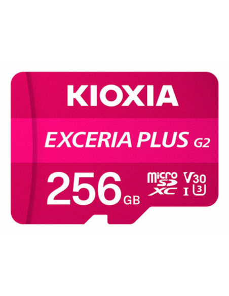 Kioxia LMPL2M256GG2 memoria flash 256 GB MicroSDXC UHS-I Clase 10