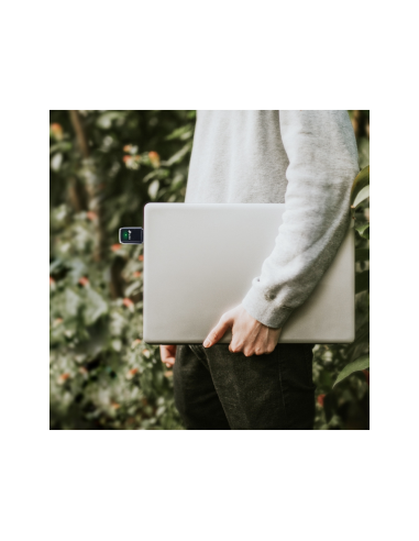 TP-Link Archer T3U WLAN 1267 Mbit/s