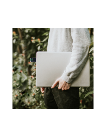 TP-Link Archer T3U WLAN 1267 Mbit/s