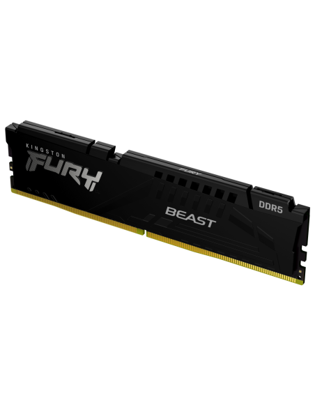 Kingston Technology FURY Beast módulo de memoria 32 GB 1 x 32 GB DDR5 4800 MT/s