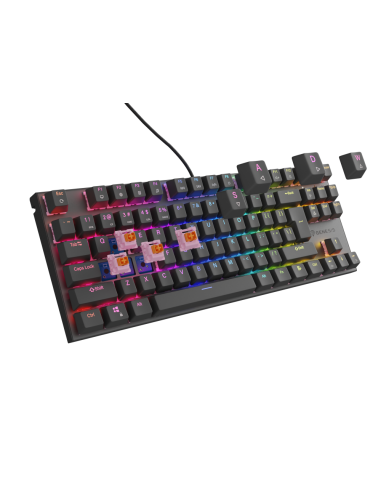 GENESIS Thor 303 TKL teclado Juego USB QWERTY Español Negro