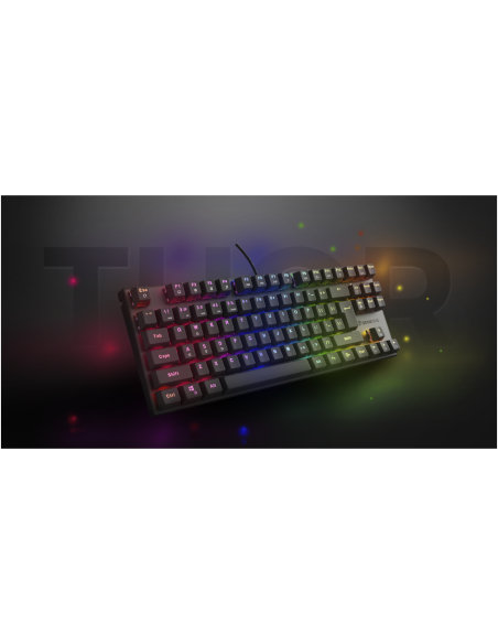 GENESIS Thor 303 TKL teclado Juego USB QWERTY Español Negro