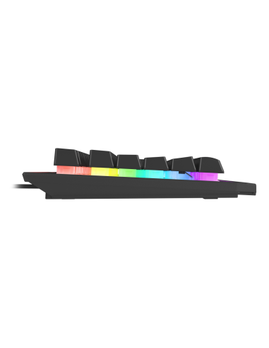 GENESIS Rhod 500 RGB teclado Juego USB QWERTY Portugués Negro, Plata