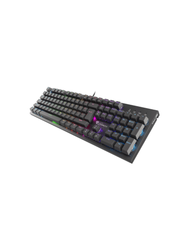 GENESIS THOR 300 RGB teclado Juego USB QWERTY Inglés Negro